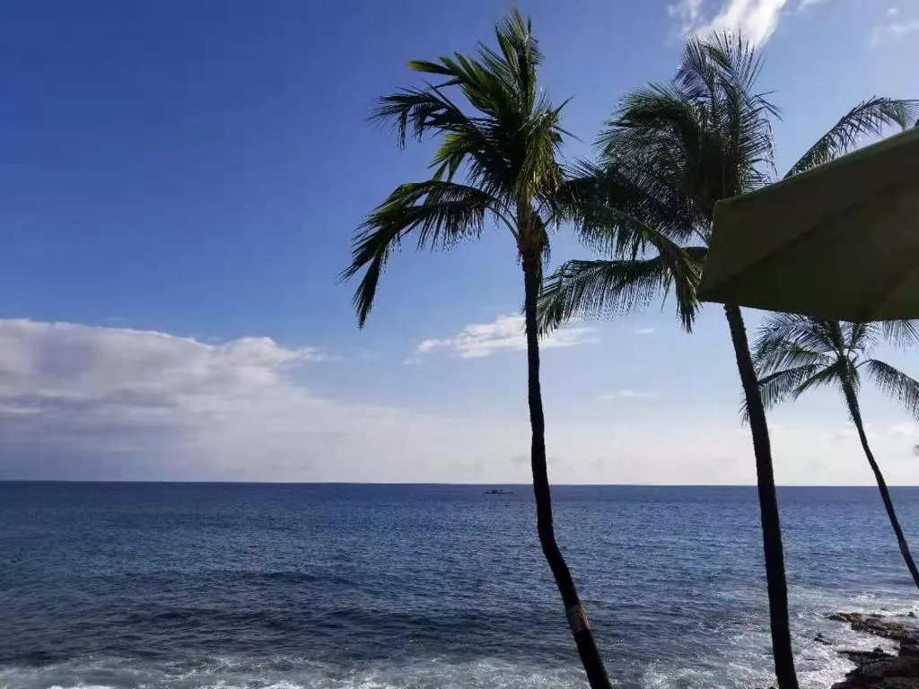 Black sand beach scenery on Hawaiʻi Island