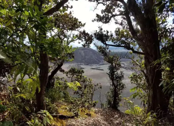 Hawaiʻi Island scenery near Volcano Village