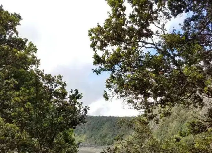 Hawaiʻi Island scenery near Volcano Village