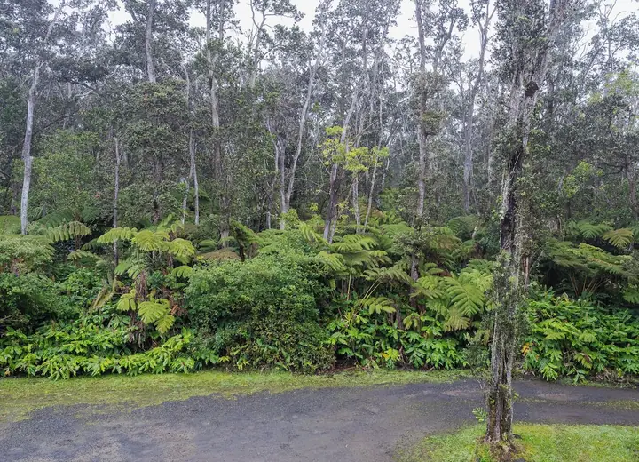 Guest room at Volcano Forest Inn