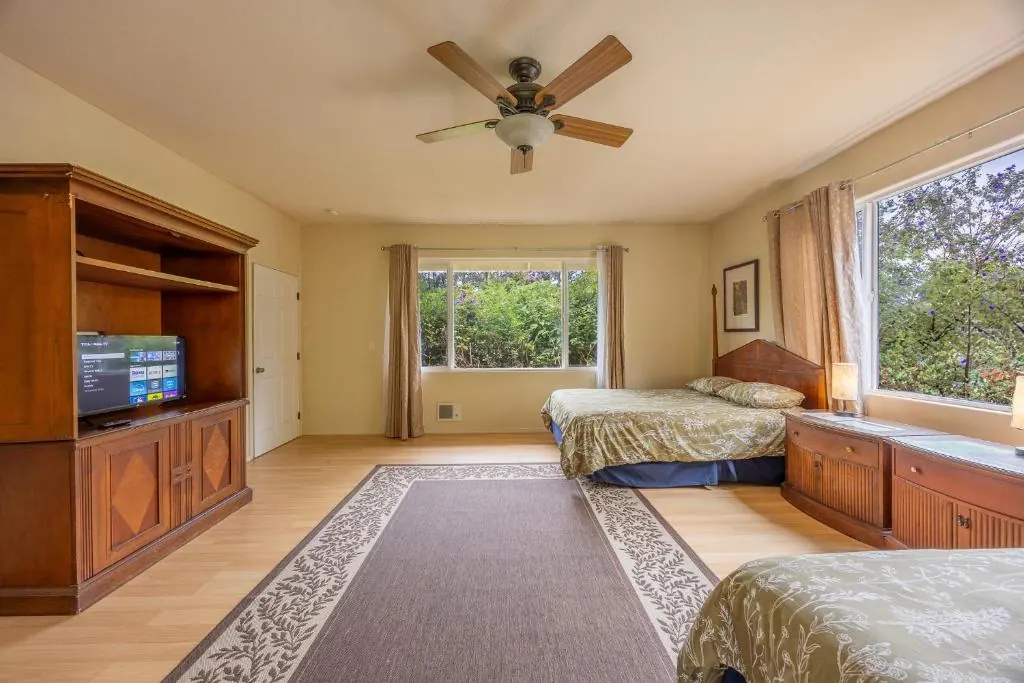 Rainforest Room photo 2