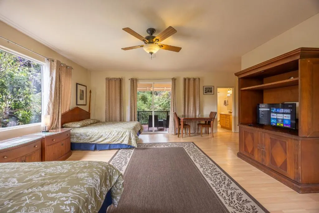 Rainforest Room photo 3
