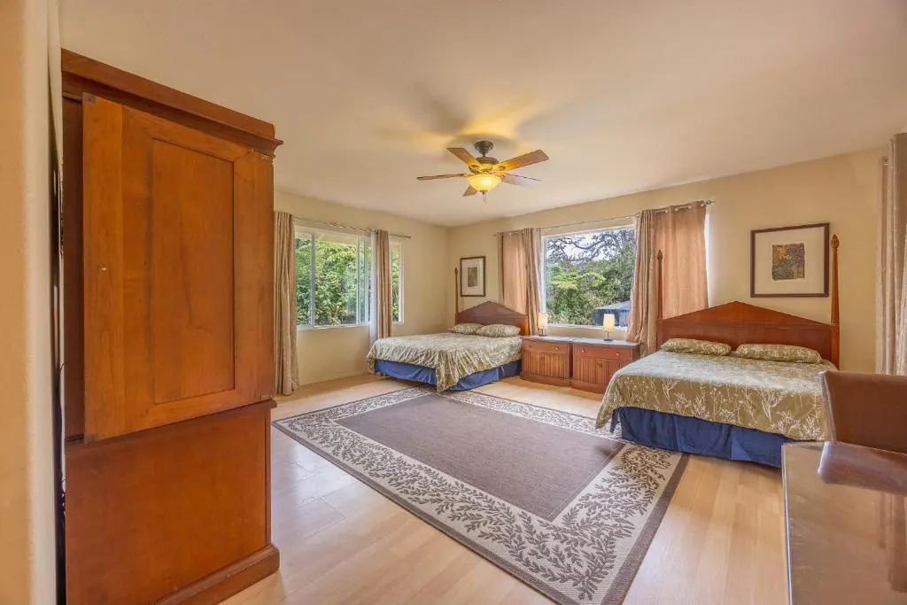 Rainforest Room photo 4