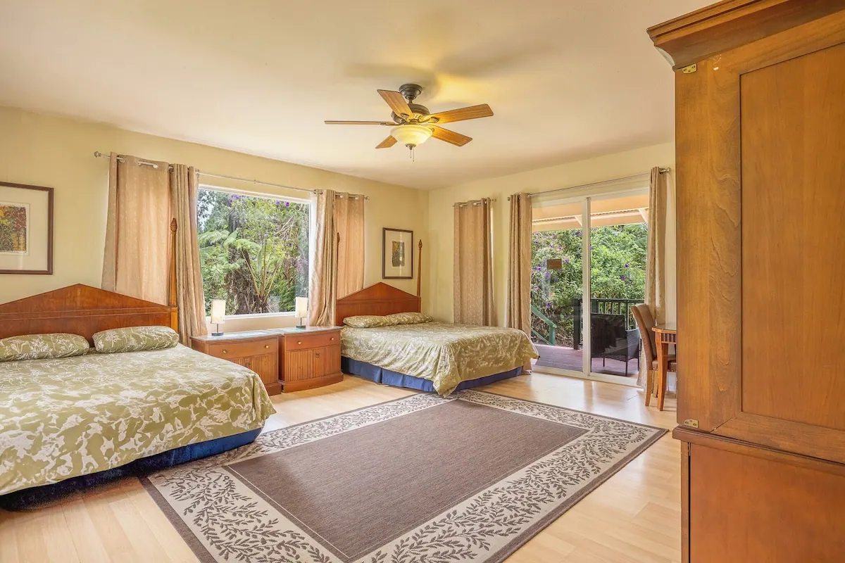 Rainforest Room photo 5