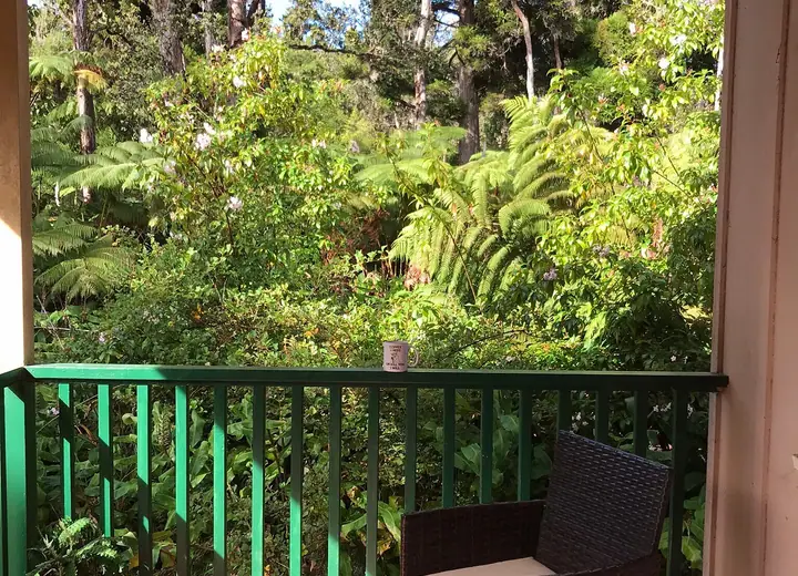 Rainforest setting at Volcano Forest Inn