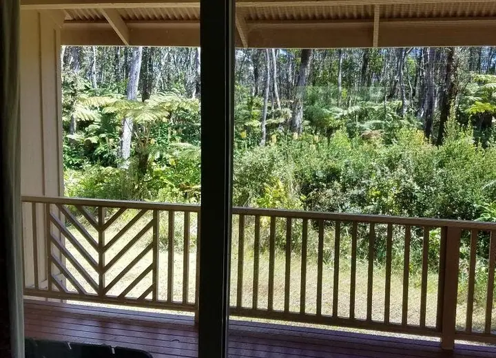 Rainforest setting at Volcano Forest Inn