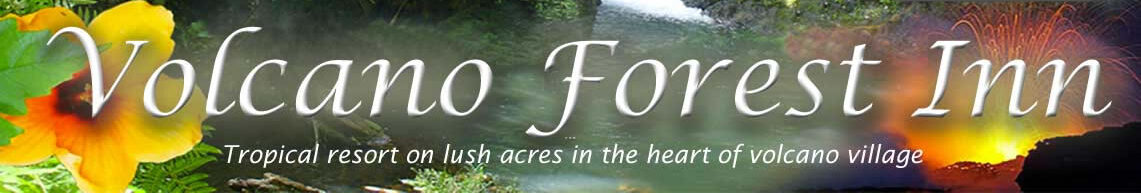 Volcano Forest Inn logo